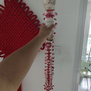 道诡异仙道诡异仙诸葛脊骨剑李火旺cos道具手工脊髓剑诸葛渊