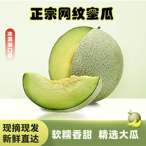 玫珑网纹瓜软糯香甜当季现摘现发