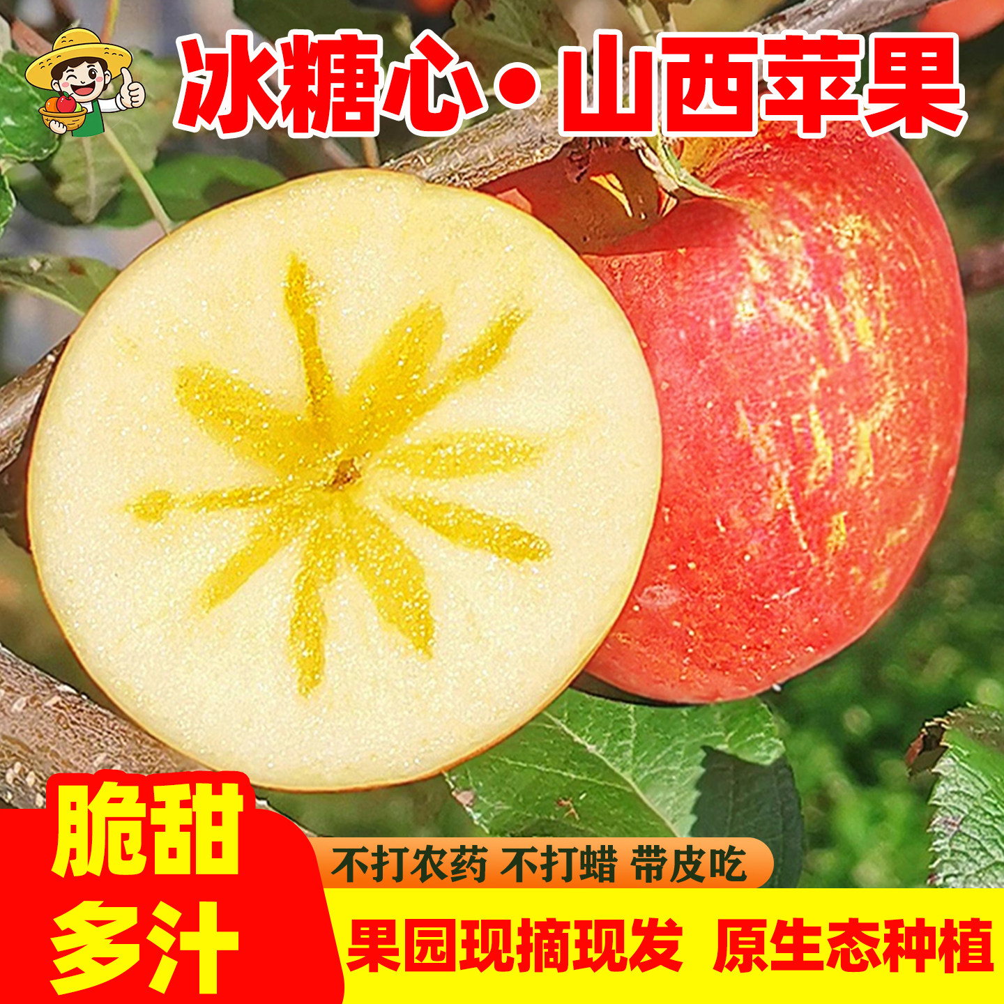 山西红富士脆甜时令苹果果园直发