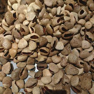 果壳风铃diy材料包手工制作音束摇铃挂件印尼黑果果壳自制配件包