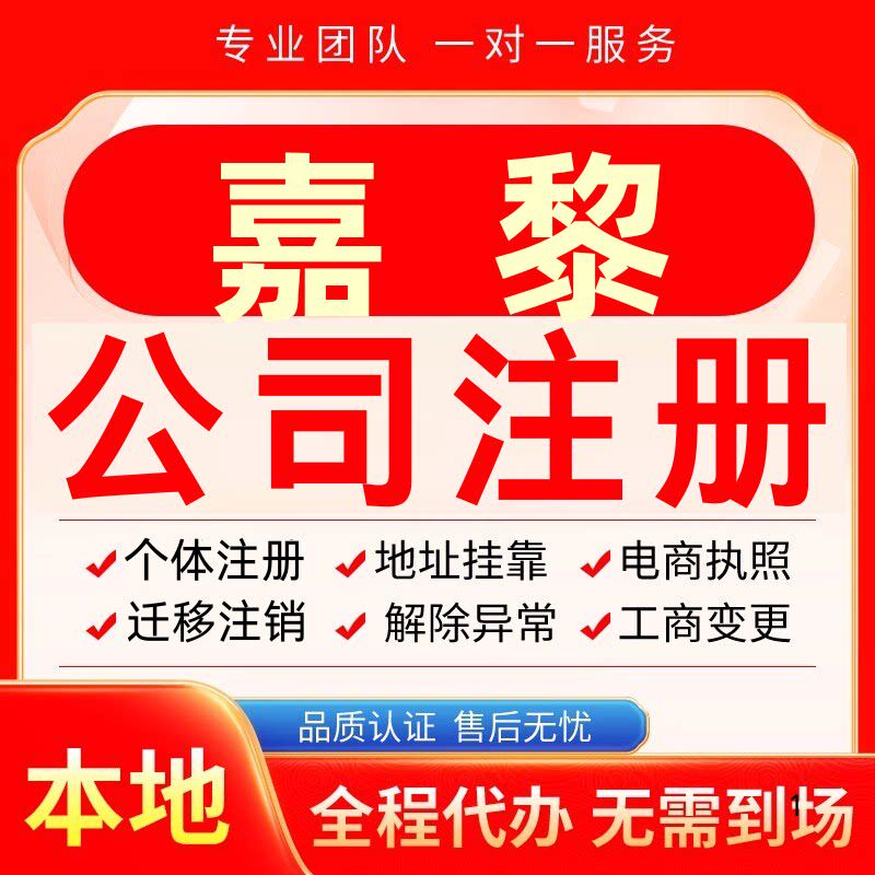 嘉黎公司注册办理异常个体户工商营业执照代办注销变更转让电商 - 实物图