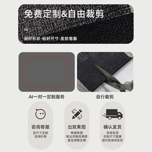 简约轻奢w家用耐脏免洗可擦玄关地垫门外脚踏垫. 优选门垫2024新款