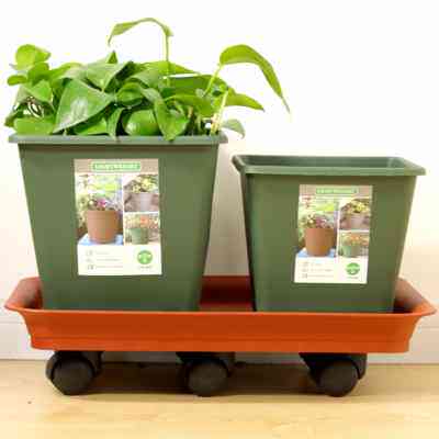 花盆托盘塑料长方形底座托加厚树脂可移动盆景托带轮花托长形花盘