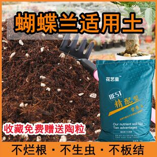 胡蝶兰养殖土蝴蝶兰适用土5斤装蝴蝶兰适用营养土疏松透气弱酸性