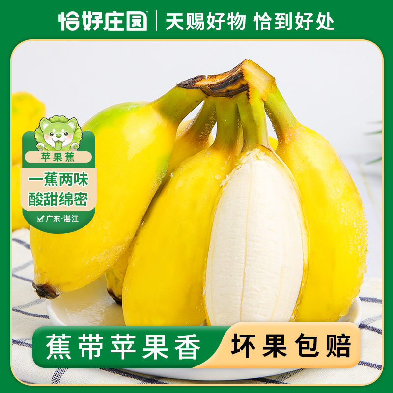 【恰好庄园】广东苹果蕉 3/5斤单果75g+新鲜水果 水产肉类/新鲜蔬果/熟食 香蕉 原图主图
