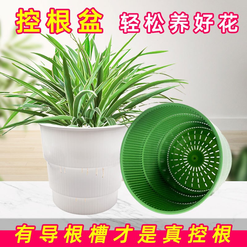 控根花盆塑料树脂透气q性好的加仑青山家用月季绣球兰花导根专用