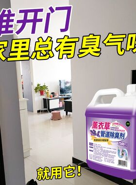 管道除臭剂下水道反味去异味厕所厨房管道防器臭神卫生间除味剂