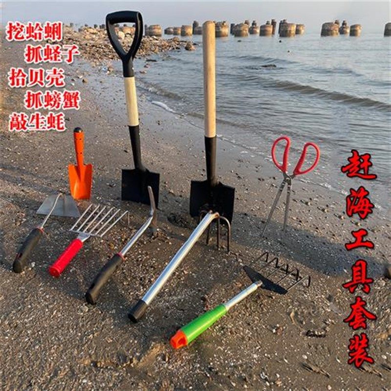 赶海工具套装不锈钢耙子夹子沙滩蛤螃蟹蛏子蚬子T螺海蛎子生蚝神,农机/农具/农膜,耙子,淘宝优惠券,粉丝福利购,淘宝优惠卷