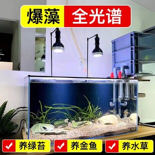 全光谱鱼缸爆藻灯泡兰寿泰狮专用鱼缸灯原生水草缸植物led补光灯
