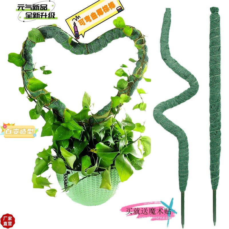 龟背竹支撑杆绿箩攀爬柱椰棕棒绿萝可弯曲变形爬T藤花架棕榈柱椰