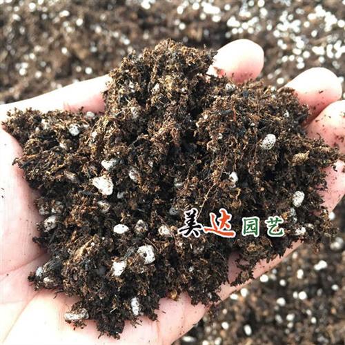 15厘米小一加仑控根盆  3套盆土的价格   透气塑料花盆 小苗换盆