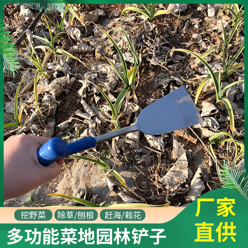 把铲淬火农用红大蒜蒜葱锰钢栽菜铲挖铲移苗铲五金农具铲五金工具,五金/工具,其它工具,淘宝优惠券,粉丝福利购,淘宝优惠卷