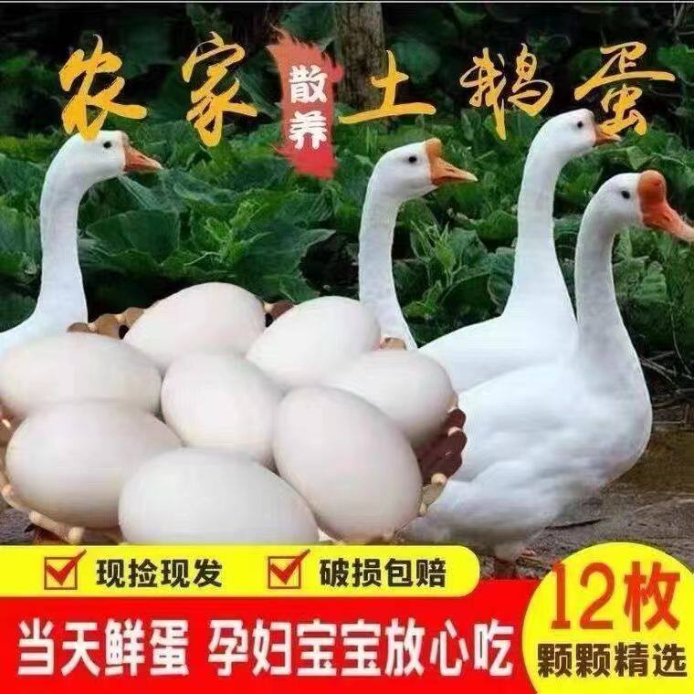 正宗农家新鲜鹅蛋孕妇去胎毒老人鹅蛋
