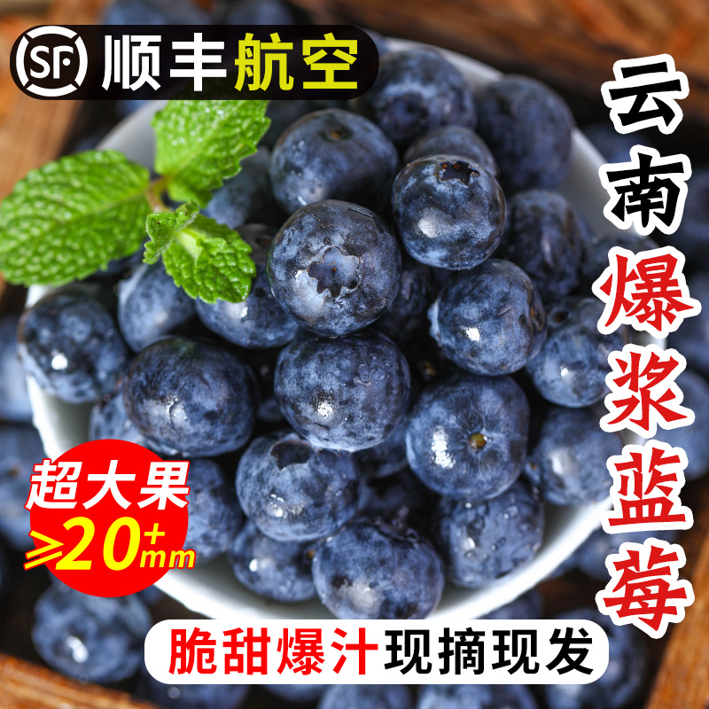 【顺丰空运】云南新鲜蓝莓鲜果当季现摘现发孕妇水果宝宝辅食蓝梅