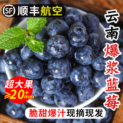 【顺丰空运】云南新鲜蓝莓鲜果