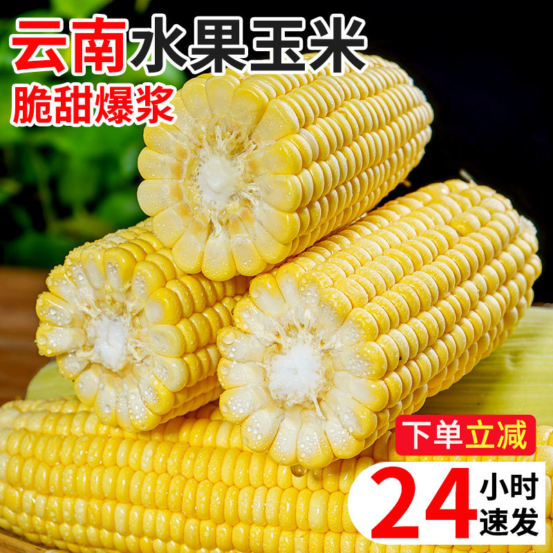 云南现摘水果玉米生吃粘苞谷棒子蔬菜9斤脆甜嫩玉米糯玉米新鲜10,水产肉类/新鲜蔬果/熟食,新鲜玉米,淘宝优惠券,粉丝福利购,淘宝优惠卷
