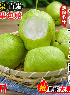 甘肃早酥梨09斤青皮脆甜梨子当季青梨新鲜时令孕妇水果非砀山酥梨