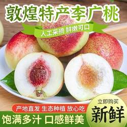 敦煌李广桃大青皮桃子紫胭桃甘肃新鲜小脆甜离核桃子现摘现发冷链