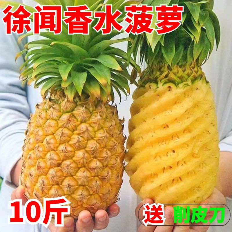 徐闻香水小菠萝新鲜水果10斤包邮图片
