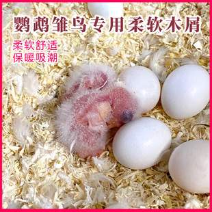 鹦鹉粪便沙鸟屎砂鸟类活鸟鹦鹉笼子垫料鸟屎砂鸟窝繁殖箱保暖木屑