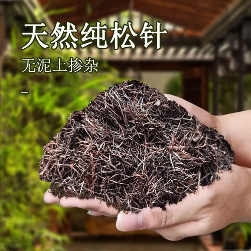 松针腐殖土发酵垫材疏松透气营养土养花种菜通用专用肥料种植土