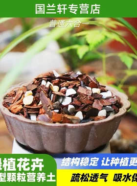 六合一颗粒兰花专用植料疏松透气保湿适合君子兰蝴蝶兰种植