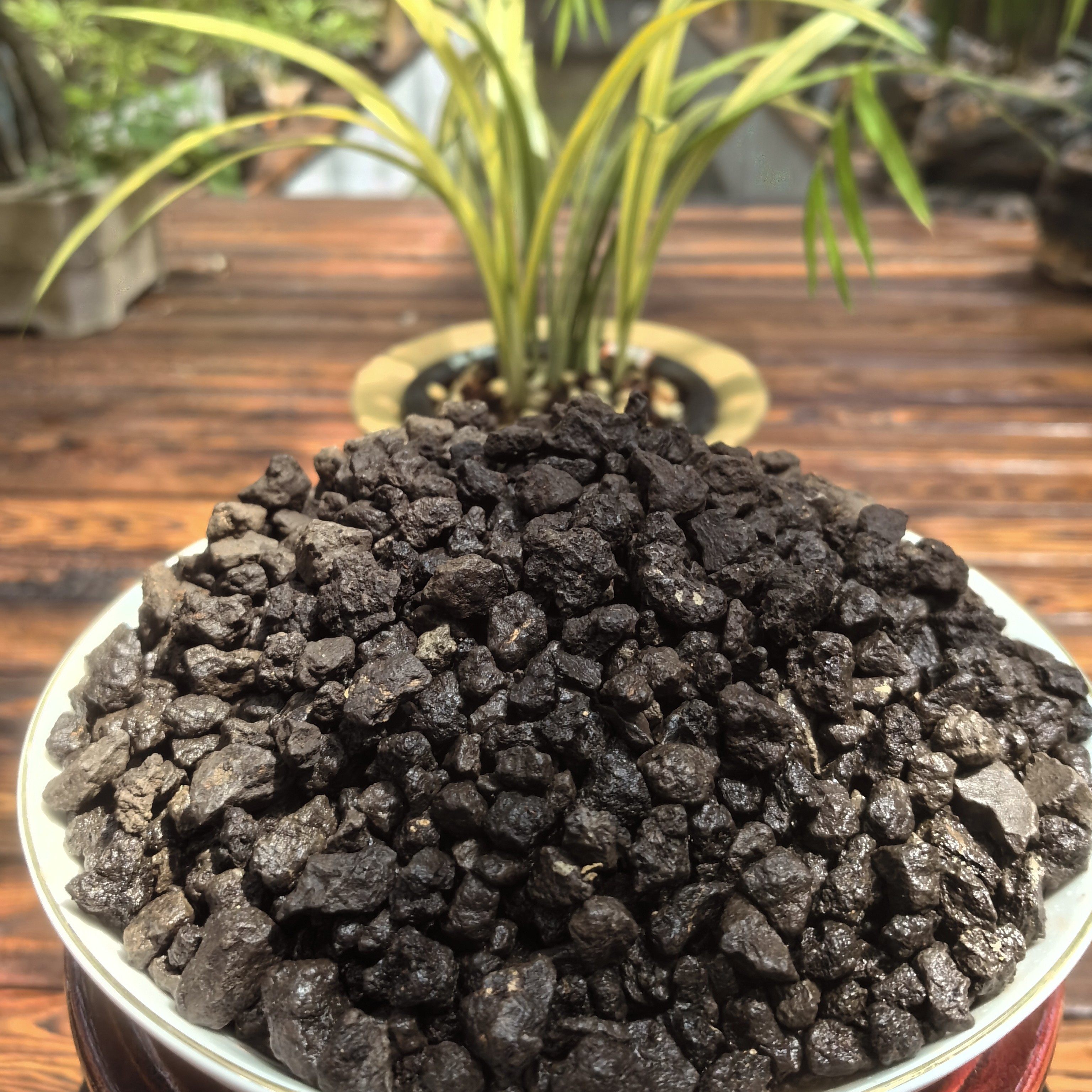 峨眉山仙土兰花蝴蝶兰君子兰多肉盆景颗粒营养土,鲜花速递/花卉仿真/绿植园艺,介质/营养土,淘宝优惠券,粉丝福利购,淘宝优惠卷