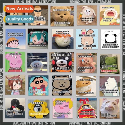 60 funny ear lerary quotes waterprostickers decorative lugga