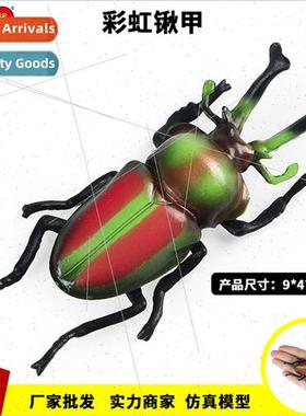 teaching aids simulation solid animal Australia rainbow spad