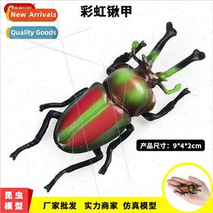 teaching aids simulation solid animal Australia rainbow spad