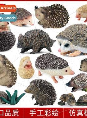 Cognive solid wild jungle animal model hedgehog boy prickly