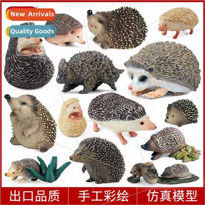Cognive solid wild jungle animal model hedgehog boy prickly