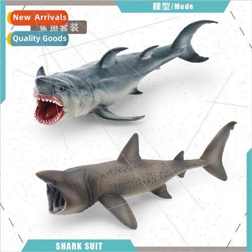 Marine life vertebrates great whe shark piranha shark baskin