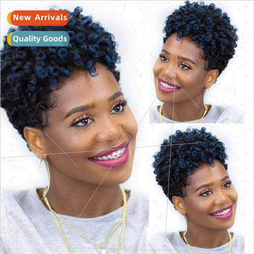 wigs african small curly hair fluffy realistic short curly h