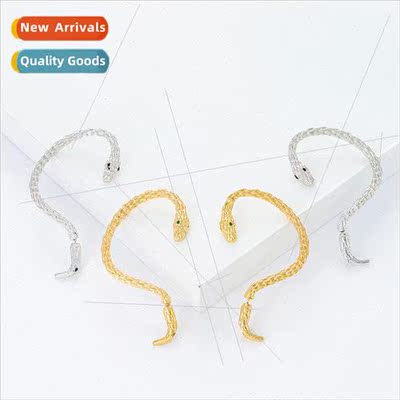 Fashion twisted ear hanging snake earrings punk retro niche