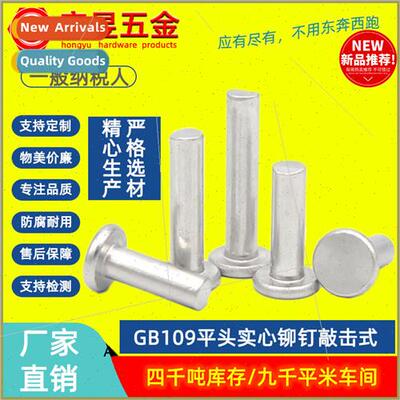 Stainless steel GB109 flat head solid cylindrical rivets kno