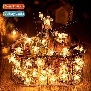 blossom cherry flower small lights Full colorful star