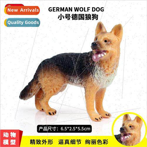 Children wild animal model miniature sheepdog small wolf dog