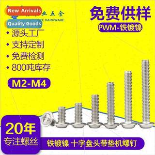 Iron PWM M2-M4 Phillips pan head machine screws wh washers m