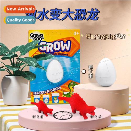 Soaking hatching eggs Dinosaur eggs soaking water to break s