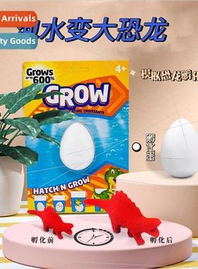 Soaking hatching eggs Dinosaur eggs soaking water to break s