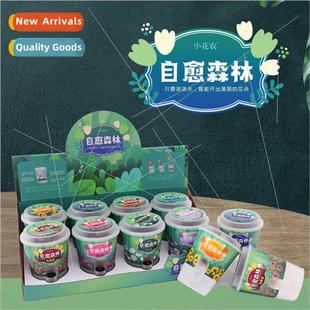 self healing fun potted des gift plants creative desktop est