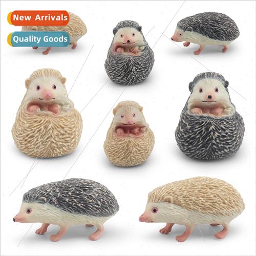 Wildlife hedgehog model steal melon badger spiny group hedge