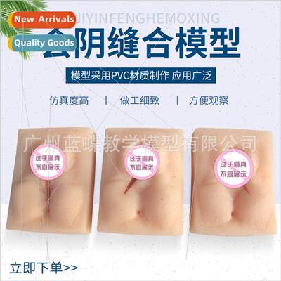 Vulvar Suture Practice Model Perineal Suture Practice Module