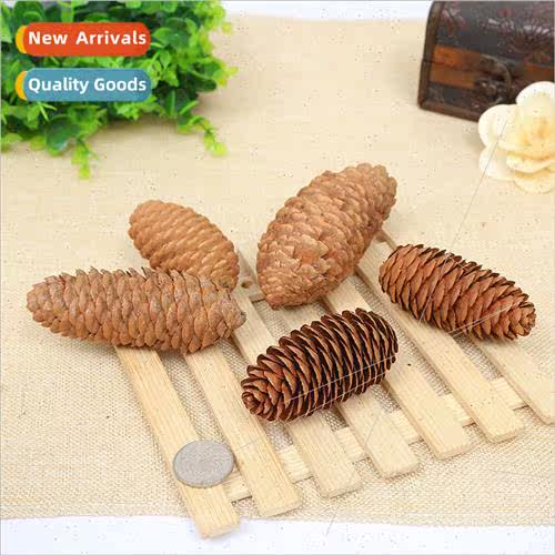 Christmas decorations pine cones accessories pine balls spru
