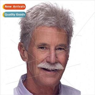 wig gray fluffy silver men handsome short
