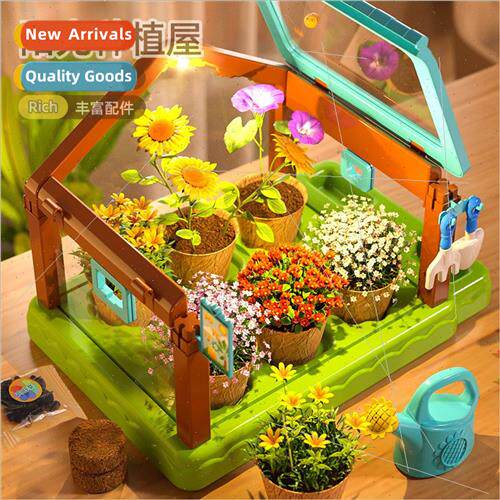 Sunroom planting children planting vegetables science small