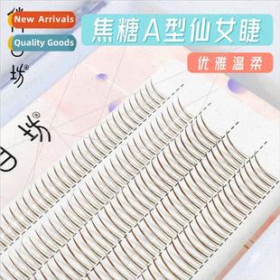 Caramel Brown A-Lash False Eyelash Fairy Fairy ngle Cluster