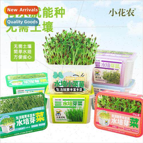 Hydroponic sprouts 适用children students educational science