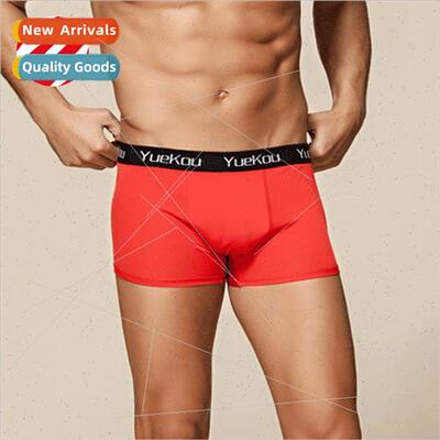 High-grade men mid-waist silk boxer briefs mulberry silk sil